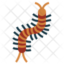 پیش‌نمایش فایل centipede-7157413 از پک جنگل