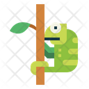 پیش‌نمایش فایل chameleon-7157414 از پک جنگل
