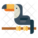 پیش‌نمایش فایل toucan-7157438 از پک جنگل