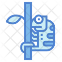 پیش‌نمایش فایل chameleon-7157450 از پک جنگل