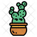 پیش‌نمایش فایل cactus-7159175 از پک درخت