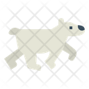 پیش‌نمایش فایل polar-bear-7159434 از پک Polar Bear