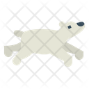 پیش‌نمایش فایل polar-bear-7159437 از پک Polar Bear