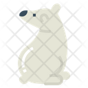 پیش‌نمایش فایل polar-bear-7159439 از پک Polar Bear