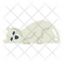 پیش‌نمایش فایل polar-bear-7159447 از پک Polar Bear