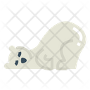 پیش‌نمایش فایل polar-bear-7159453 از پک Polar Bear