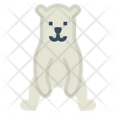 پیش‌نمایش فایل polar-bear-7159456 از پک Polar Bear