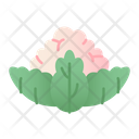 پیش‌نمایش فایل cauliflower-5197631 از پک میوه ها و سبزیجات