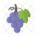 پیش‌نمایش فایل grapes-5197645 از پک میوه ها و سبزیجات