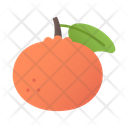 پیش‌نمایش فایل mandarin-orange-5197651 از پک میوه ها و سبزیجات