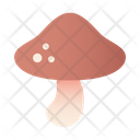 پیش‌نمایش فایل mushroom-5197654 از پک میوه ها و سبزیجات