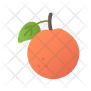 پیش‌نمایش فایل orange-5197656 از پک میوه ها و سبزیجات