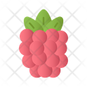 پیش‌نمایش فایل raspberry-5197616 از پک میوه ها و سبزیجات