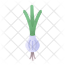 پیش‌نمایش فایل spring-onion-5197617 از پک میوه ها و سبزیجات