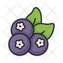 پیش‌نمایش فایل berry-5197587 از پک میوه ها و سبزیجات