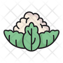 پیش‌نمایش فایل cauliflower-5197590 از پک میوه ها و سبزیجات