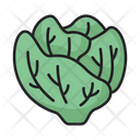 پیش‌نمایش فایل lettuce-5197608 از پک میوه ها و سبزیجات