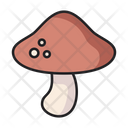 پیش‌نمایش فایل mushroom-5197613 از پک میوه ها و سبزیجات