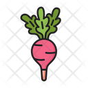 پیش‌نمایش فایل radish-5197574 از پک میوه ها و سبزیجات