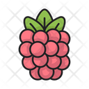 پیش‌نمایش فایل raspberry-5197575 از پک میوه ها و سبزیجات