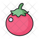 پیش‌نمایش فایل tomato-5197579 از پک میوه ها و سبزیجات