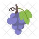 پیش‌نمایش فایل grapes-5197495 از پک میوه ها و سبزیجات