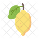 پیش‌نمایش فایل lemon-5197472 از پک میوه ها و سبزیجات