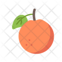 پیش‌نمایش فایل orange-5197476 از پک میوه ها و سبزیجات