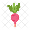 پیش‌نمایش فایل radish-5197478 از پک میوه ها و سبزیجات