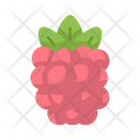 پیش‌نمایش فایل raspberry-5197501 از پک میوه ها و سبزیجات