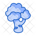 پیش‌نمایش فایل broccoli-5197457 از پک میوه ها و سبزیجات