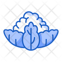 پیش‌نمایش فایل cauliflower-5197458 از پک میوه ها و سبزیجات