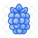 پیش‌نمایش فایل raspberry-5197450 از پک میوه ها و سبزیجات