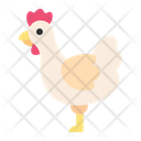 پیش‌نمایش فایل chicken-6557222 از پک باربیکیو و گریل