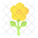 پیش‌نمایش فایل flower-2080286 از پک کارناوال
