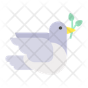 پیش‌نمایش فایل dove-2102827 از پک روز زن