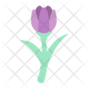 پیش‌نمایش فایل tulip-2102808 از پک روز زن