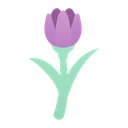 پیش‌نمایش فایل tulip-2124241 از پک روز زن