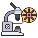 پیش‌نمایش فایل research-on-virus-2263168 از پک ویروس