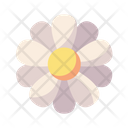 پیش‌نمایش فایل flower-4205817 از پک پاییز