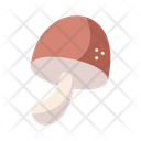 پیش‌نمایش فایل mushroom-4205829 از پک پاییز