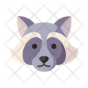 پیش‌نمایش فایل raccoon-4205834 از پک پاییز