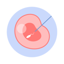 پیش‌نمایش فایل artificial-fertilization-of-woman-egg-5314637 از پک بارداری