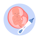 پیش‌نمایش فایل baby-in-womb-5314640 از پک بارداری