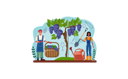 پیش‌نمایش فایل couple-making-grape-wine-11664288 از پک ساخت غذا