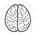 پیش‌نمایش فایل brain-7 از پک کالبدشناسی انسان
