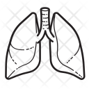 پیش‌نمایش فایل lungs-4 از پک کالبدشناسی انسان