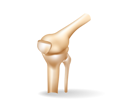 پیش‌نمایش فایل knee-bones-7136531 از پک کسب‌وکار و فناوری