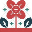 پیش‌نمایش فایل flower-11569482 از پک وسایل خانه
