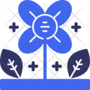پیش‌نمایش فایل flower-11569955 از پک وسایل خانه